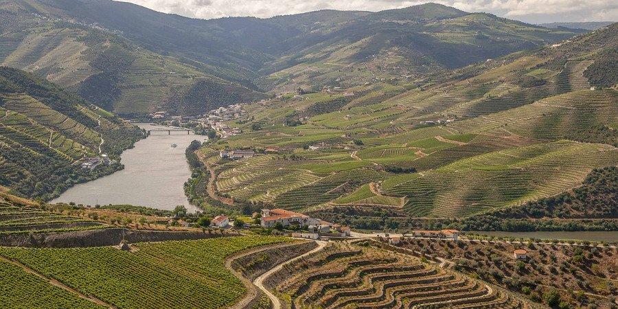 Vigneti lungo la valle del Douro